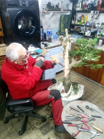 IMG_20260203_103646_854