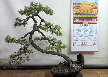 IMG_20211215_142112_7