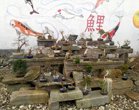 IMG_20260308_083654_047