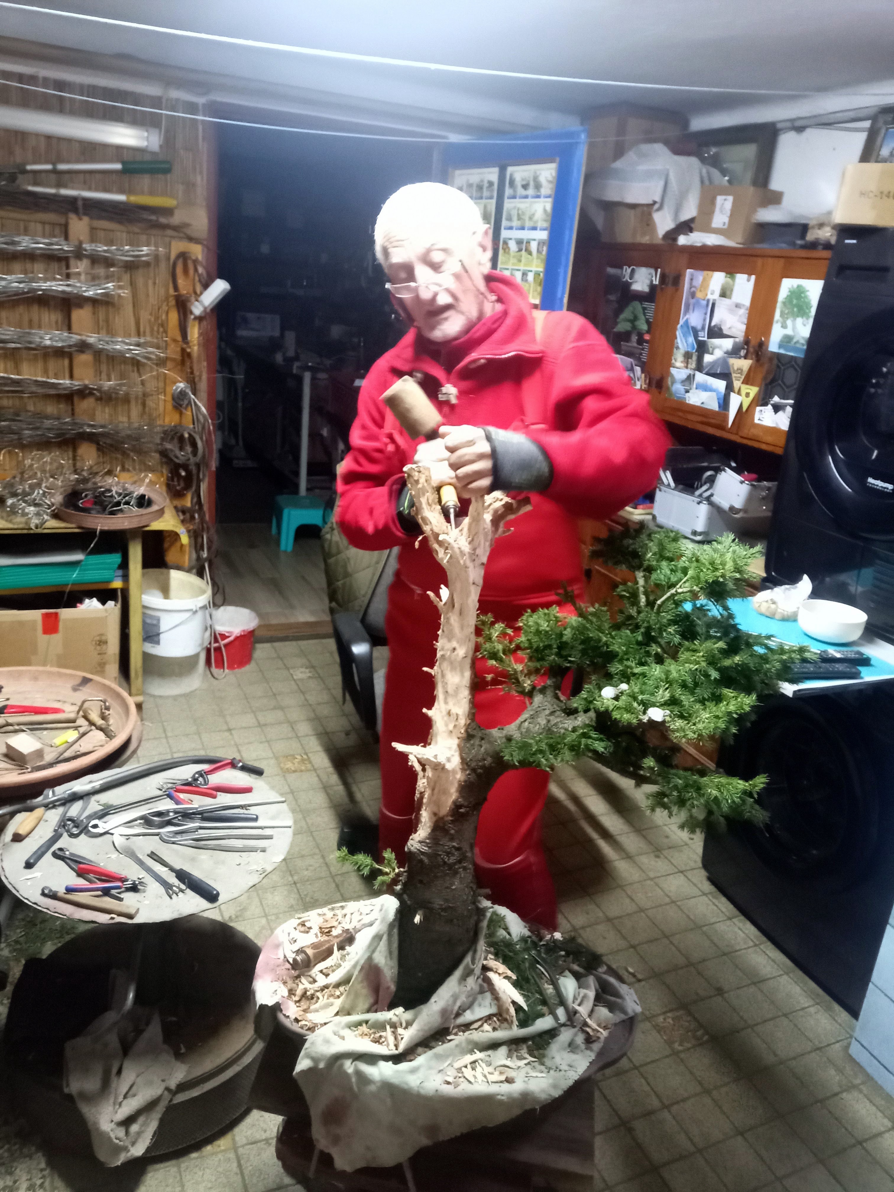 IMG_20260204_090256_518